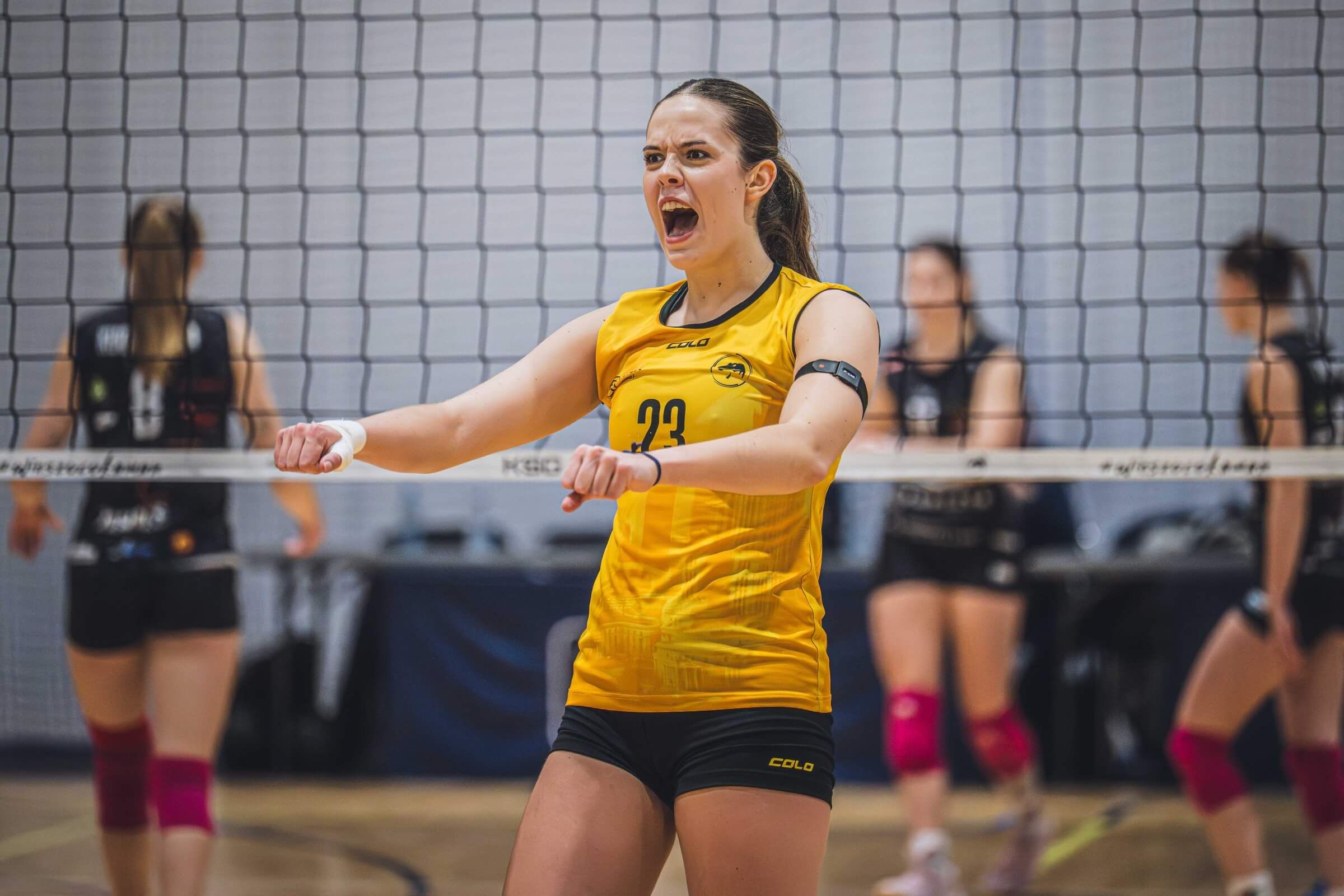 13.12 KSGWAW - ysr_images (4).jpg