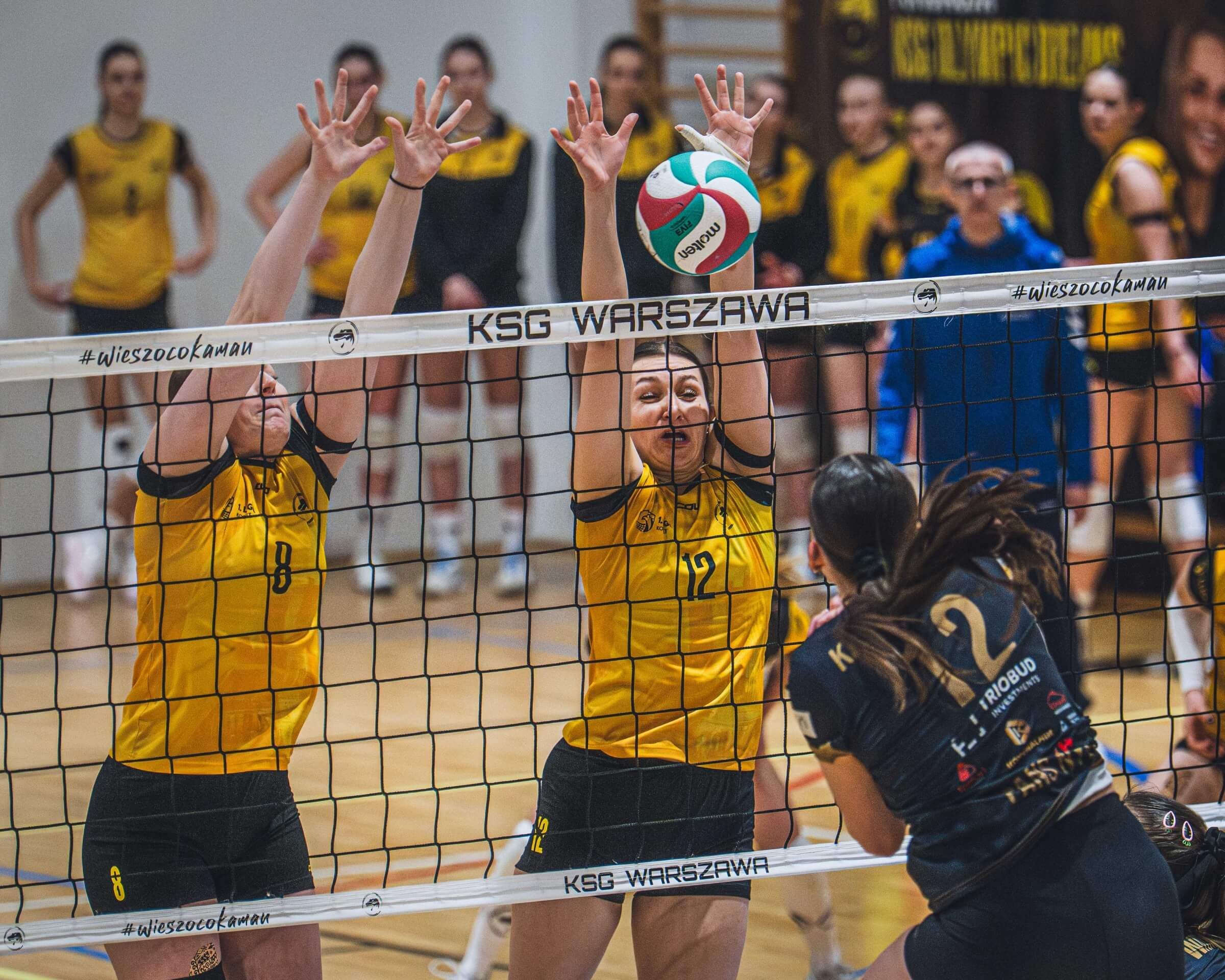 28.02 KSGWAW - ysr_images (3).jpg