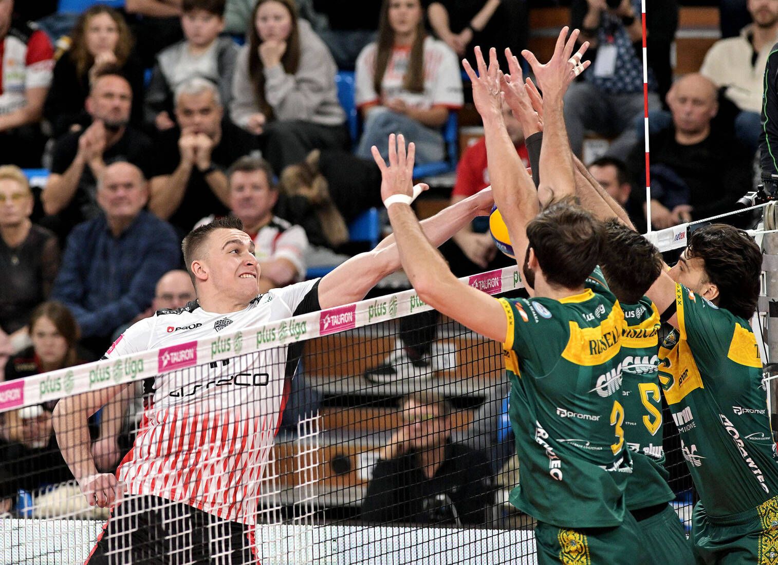 Liga Mistrzów siatkarzy: trzy zwycięstwa polskich drużyn