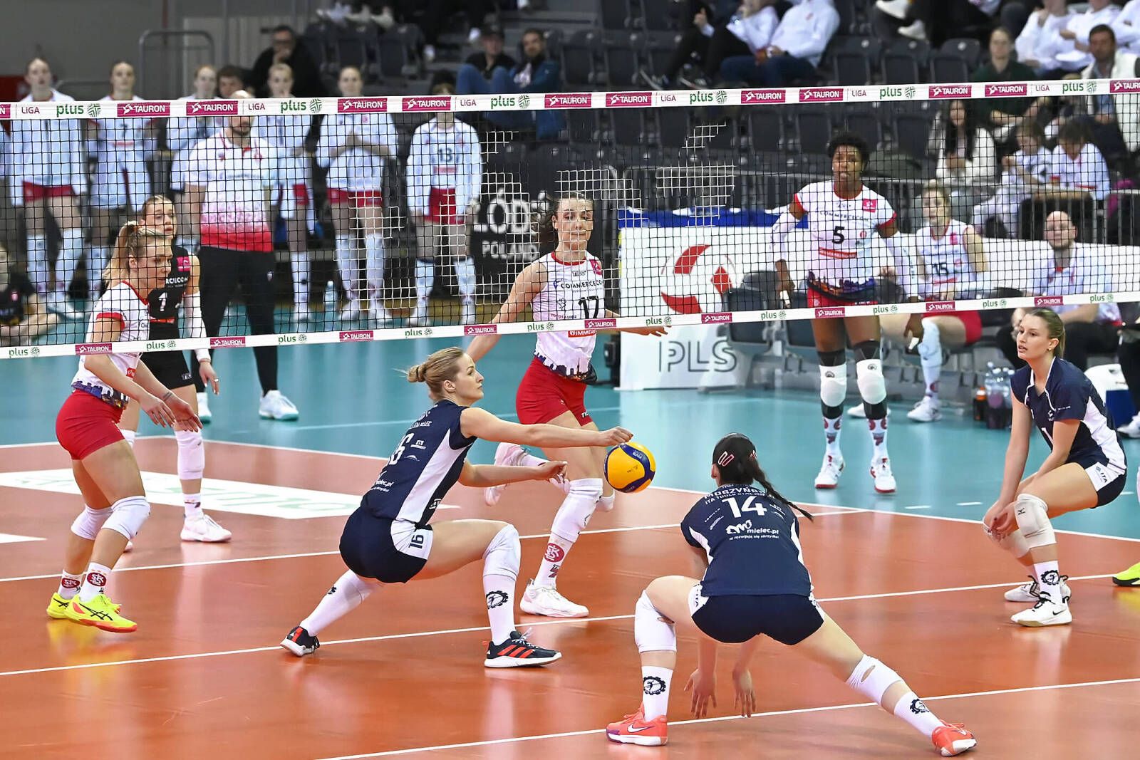 TAURON Liga. Znamy komplet półfinalistek