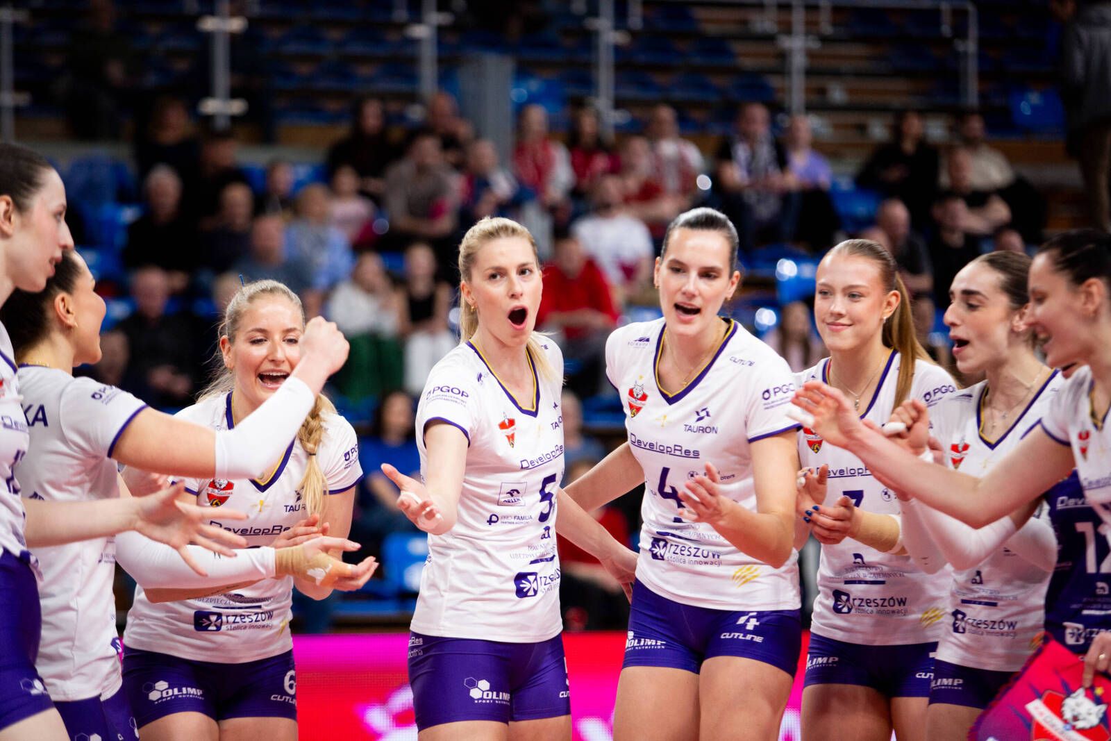 TAURON Liga: DevelopRes Rzeszów wygrał sezon zasadniczy