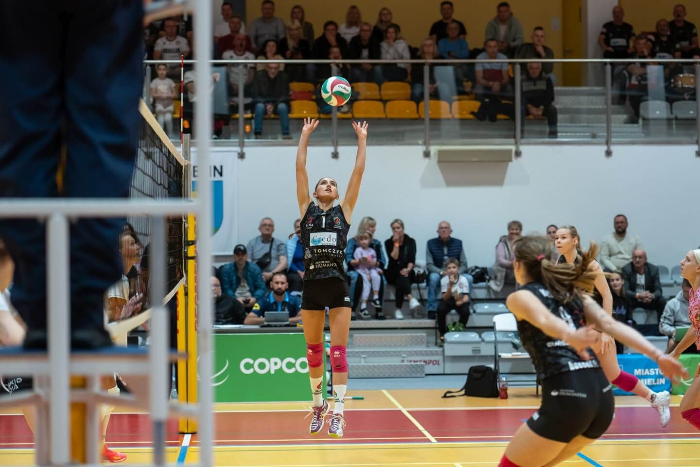 MKS Sosnowiec (33).jpeg
