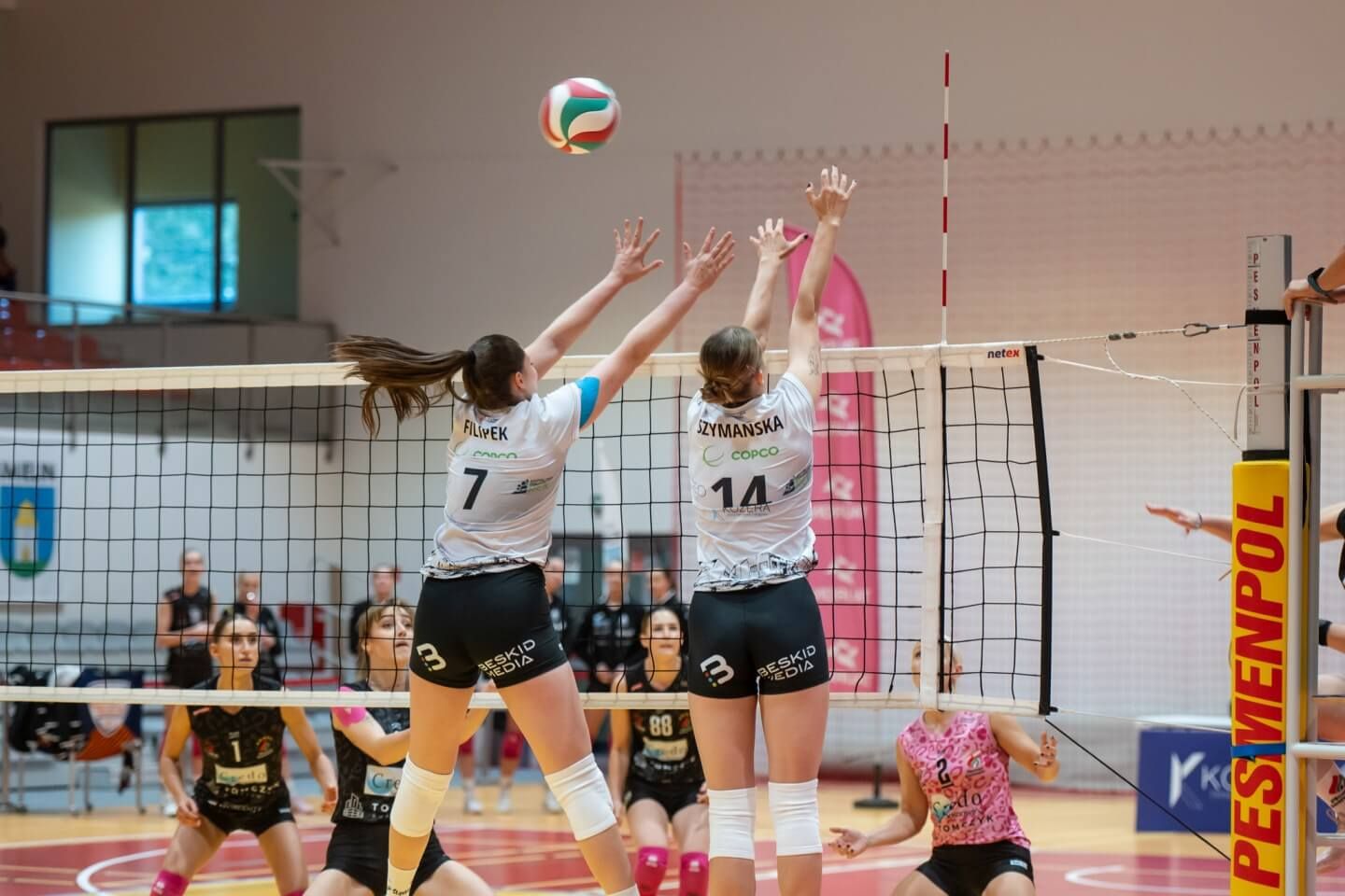 MKS Sosnowiec (37).jpeg