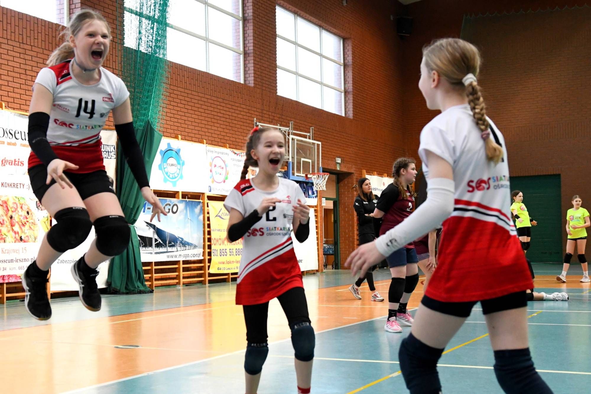 El. Wojewódzkie w woj. wielkopolskim