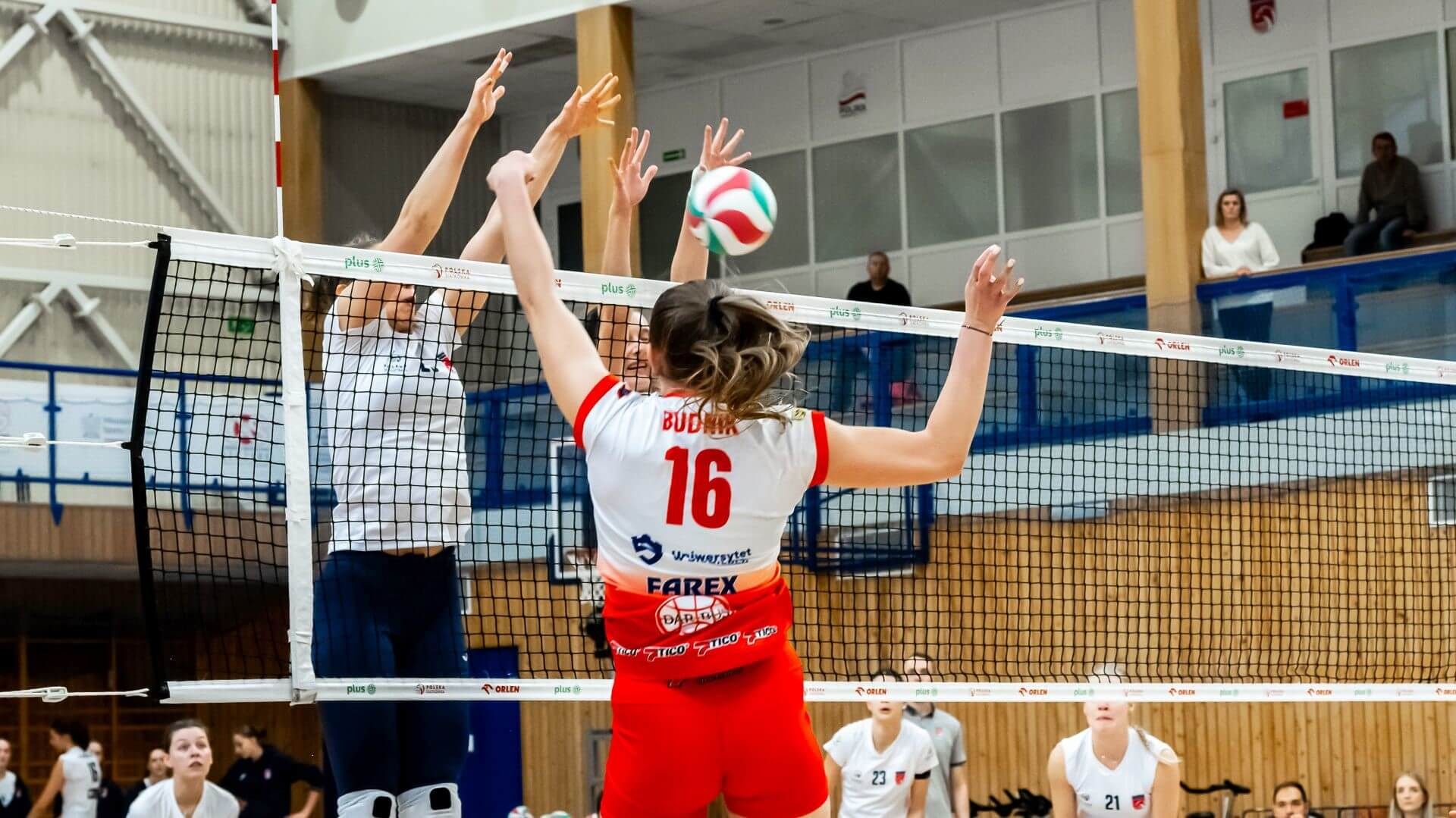 Mecz 12. kolejki 1. Ligi Siatkówki Kobiet 2024/2025: SMS PZPS Szczyrk – PMKS Nike Węgrów 3:0 (25:22, 25:23, 25:20)