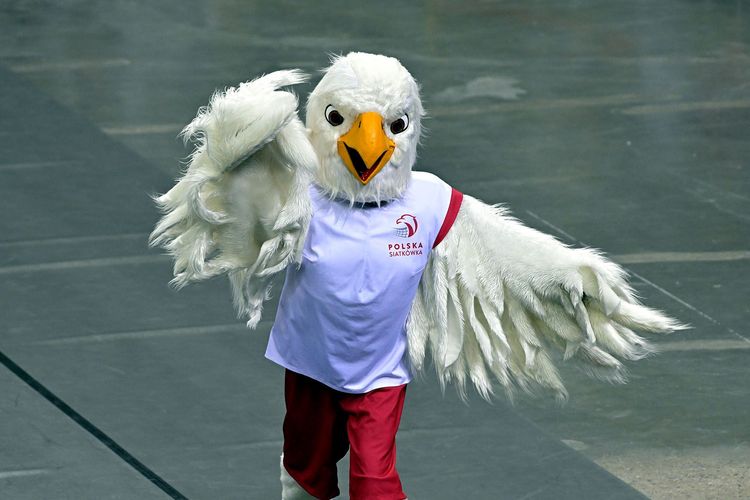 /uploads/05_2025silesia_10_ea70b1af53.jpg /uploads/05_2025silesia_10_ea70b1af53.jpg