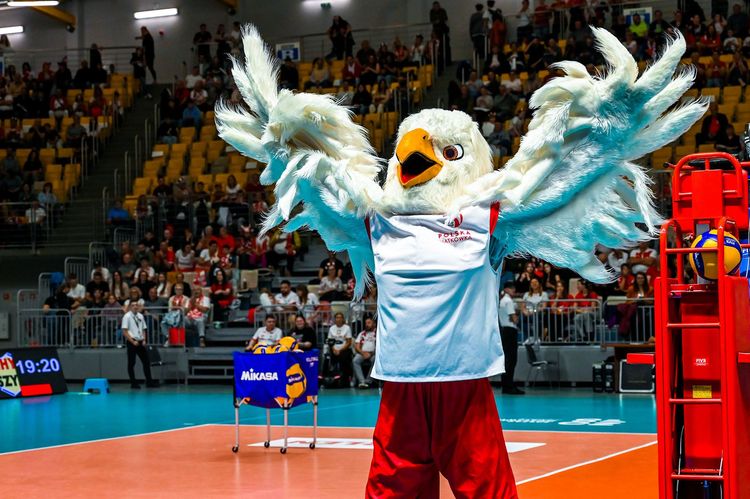 /uploads/08_2025_4_c4fffd8f56.jpg /uploads/08_2025_4_c4fffd8f56.jpg