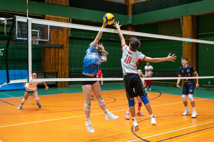 /uploads/DSC_3063_5a700d4fb5.jpg